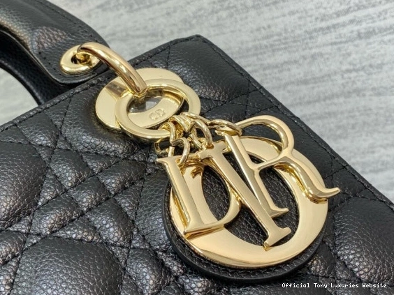 Tony Luxuries SmallCalfskin-20-16.5-8CM Lady diro 0805
